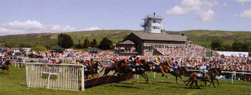 Don't forget Cartmel Races!