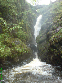 aira force