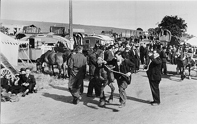 pic from University of Liverpool gypsy archive (see link)