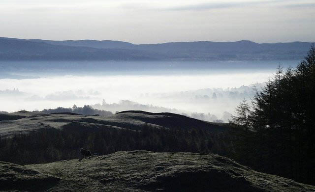 Mist morning at Tarn Hows