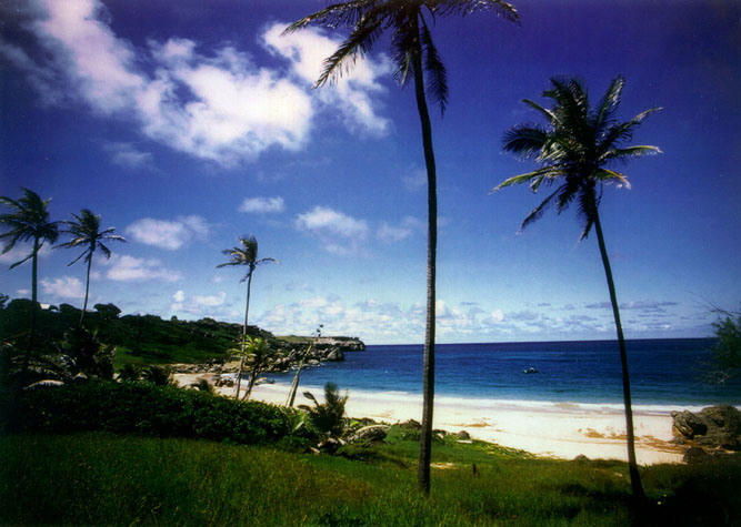 Whitehaven beach  in Barbados