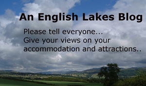 Praise or highlight concerns about your stay