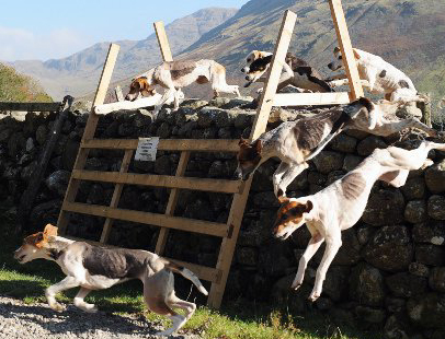 Wasdale+lake+district+camping