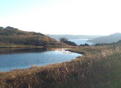 Loughrigg felltop looking towards Windermere