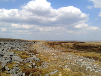 Maiden Way Melmerby Fell