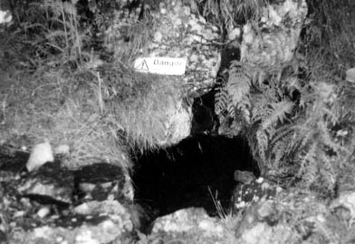 wad mine entrance
